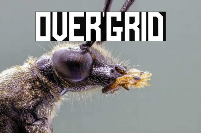 OVER'GRID Example 2