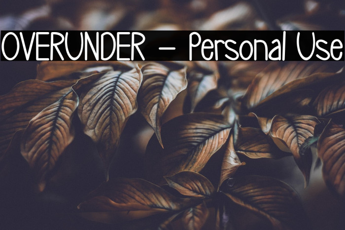 OVERUNDER - Personal Use Example 2