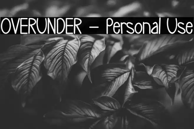 OVERUNDER - Personal Use 字体 examples