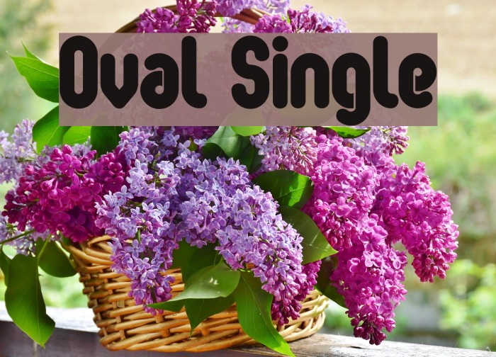 Oval Single Example 2