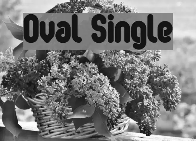 Oval Single Font examples