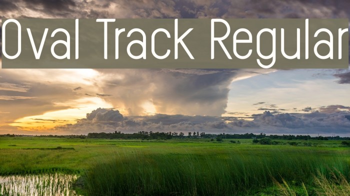 Oval Track Regular Font examples