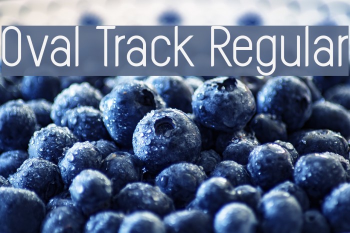 Oval Track Regular Font examples