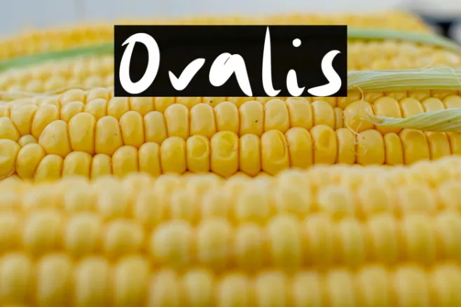 Ovalis Example 3