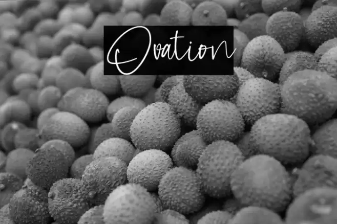 Ovation फ़ॉन्ट examples