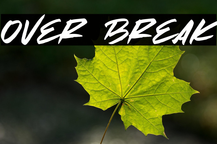 Over Break Example 3