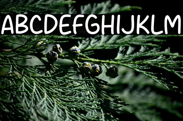 Over Light Example 1