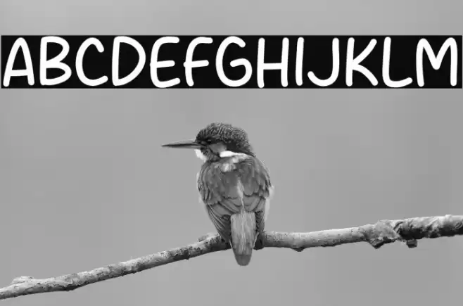 Over Light Font examples