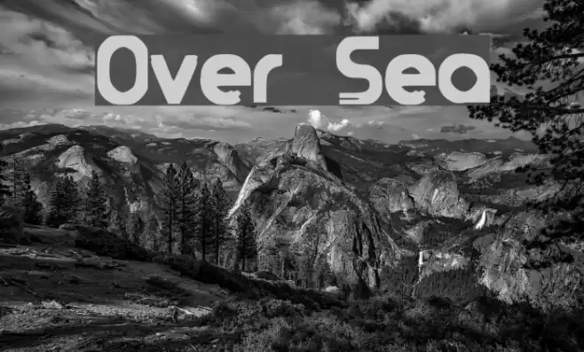 Over Sea Polices examples