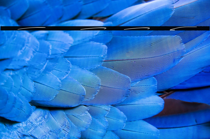 Over Thingking Swash Example 2