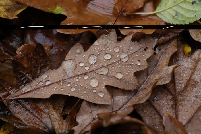 Over Thingking Swash Example 3