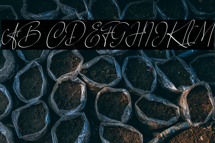 Over Thingking Example 3