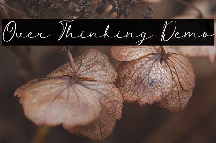 Over Thinking Demo Example 3