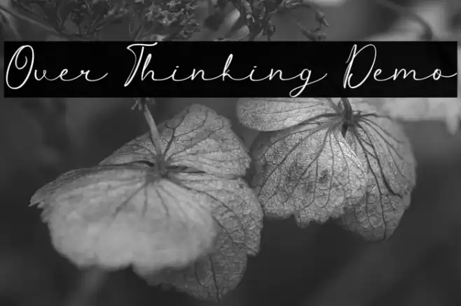 Over Thinking Demo Font examples
