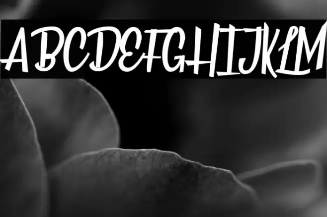 Over the Seas Personal Use  Font examples