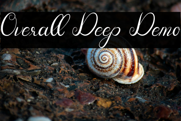 Overall Deep Demo Example 1