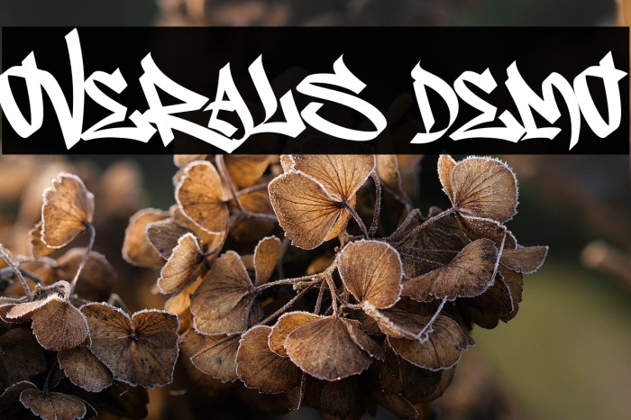 Overals Demo Example 1