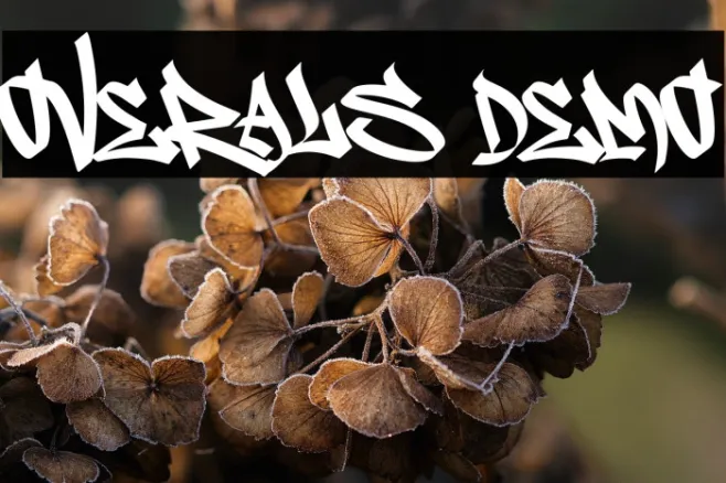 Overals Demo Example 1