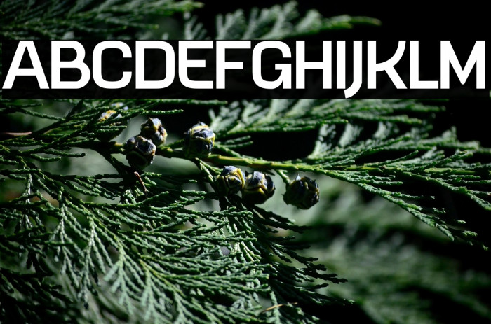 Overbrushing Sans Serif Example 2