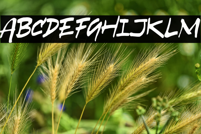 Overbrushing Example 1