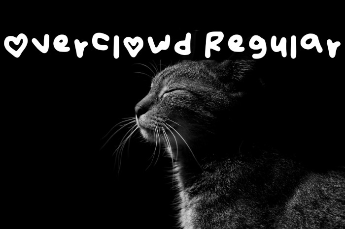 Overclowd Regular Example 1