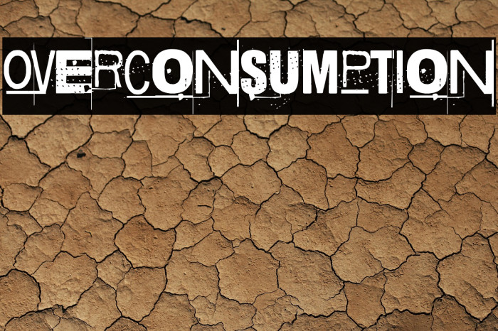 Overconsumption Example 3