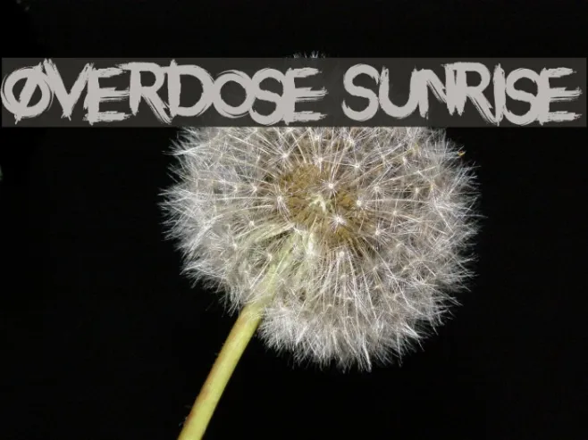Overdose Sunrise Example 1