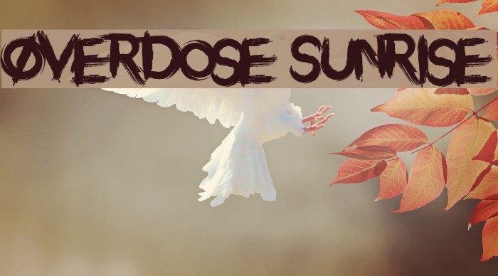 Overdose Sunrise Font examples