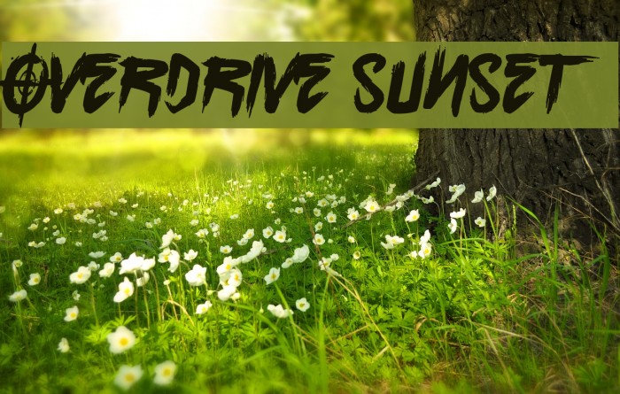 Overdrive Sunset Font in truetype .ttf opentype .otf format free and easy  download unlimit id:6913044