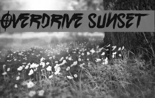 Overdrive Sunset Schriftart examples