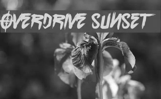 Overdrive Sunset Schriftart examples