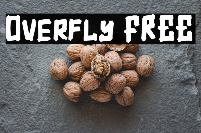 Overfly FREE Example 1