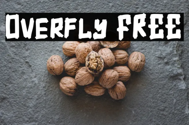 Overfly FREE Example 1