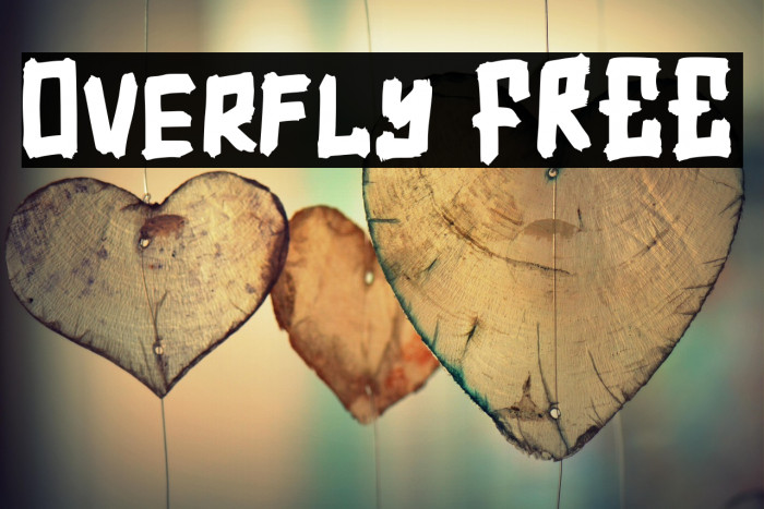 Overfly FREE Example 2