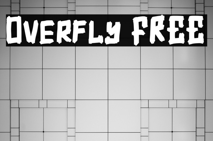 Overfly FREE Example 3