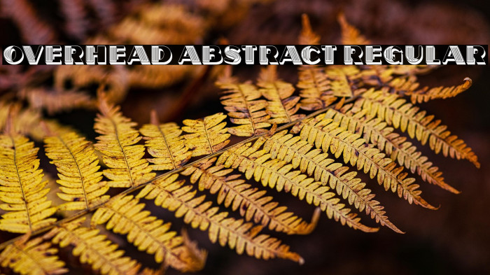 Overhead Abstract Regular Example 1
