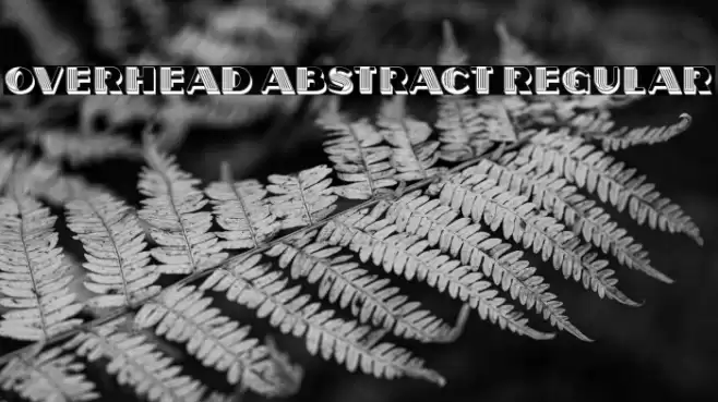 Overhead Abstract Regular Font examples