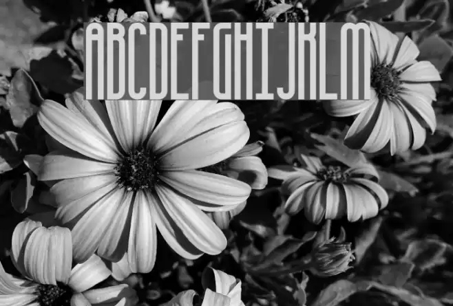 Overhead BRK Font examples