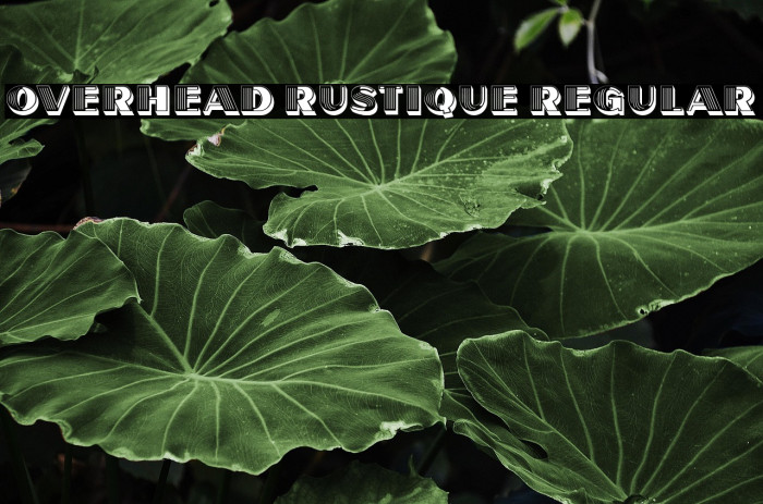 Overhead Rustique Regular Example 2