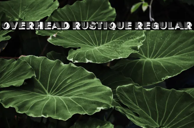 Overhead Rustique Regular Example 2