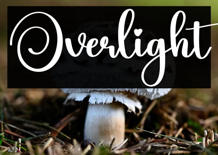 Overlight Example 1