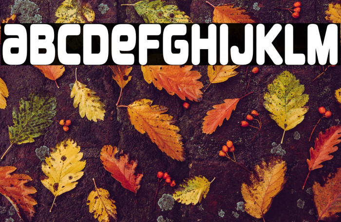 Overload-Regular Example 1