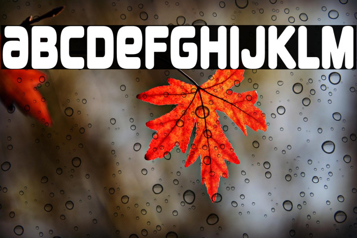 Overload-Regular Example 3