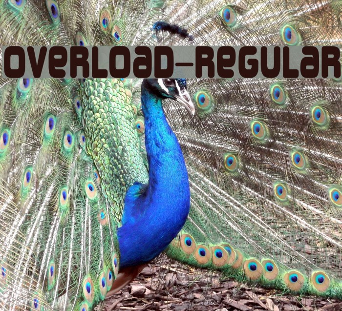 Overload-Regular Font examples