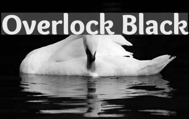 Overlock Black Font examples