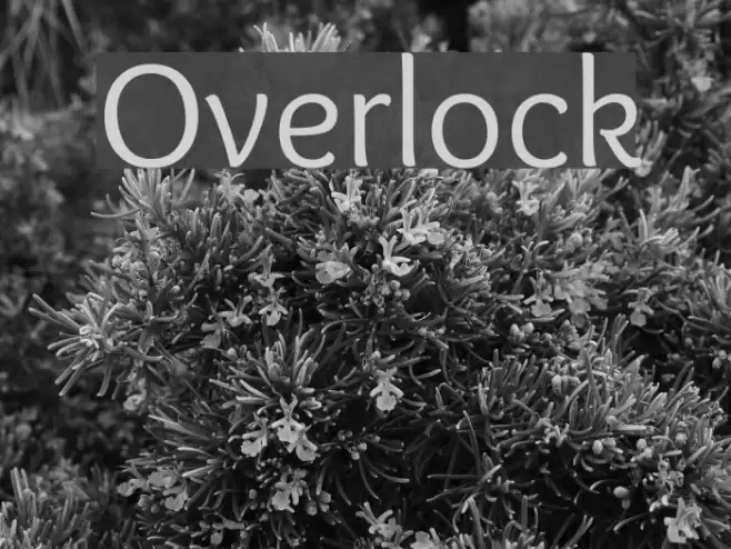 Overlock Font examples