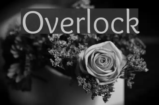 Overlock Font examples