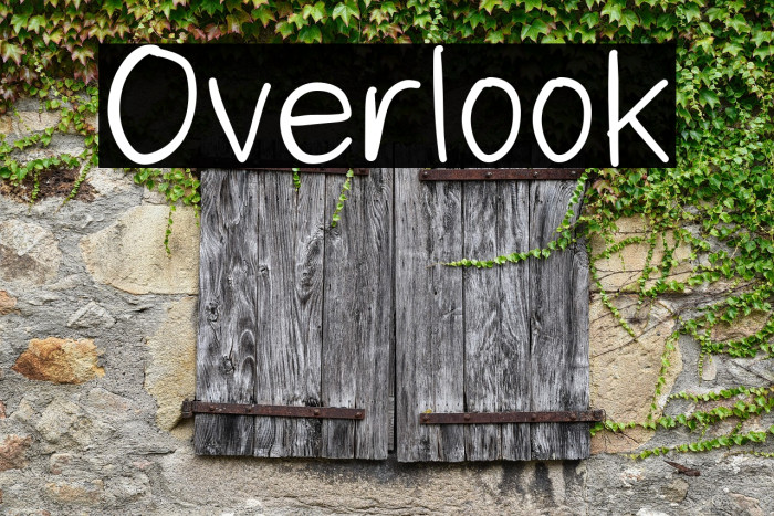 Overlook Example 1