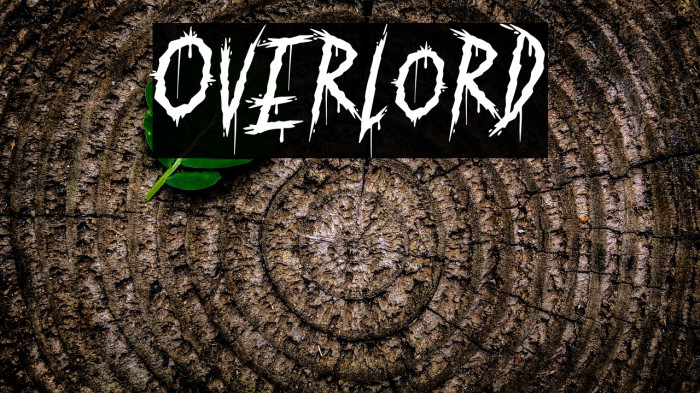 Overlord Example 3