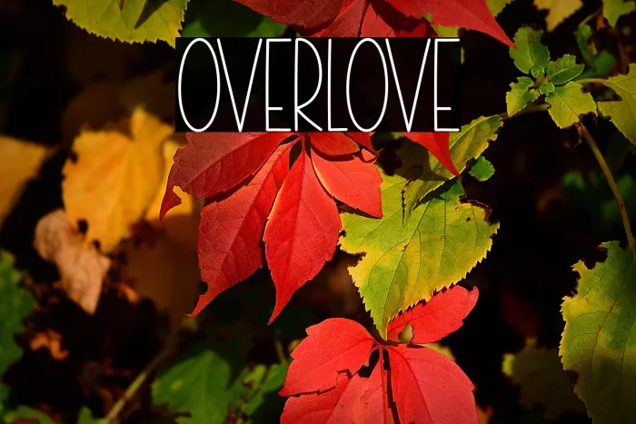 Overlove Example 2